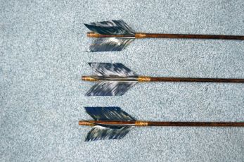 Cedar Arrow