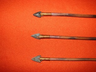 Reed branch Arrow