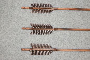 Wild turkey Fletching Arrow